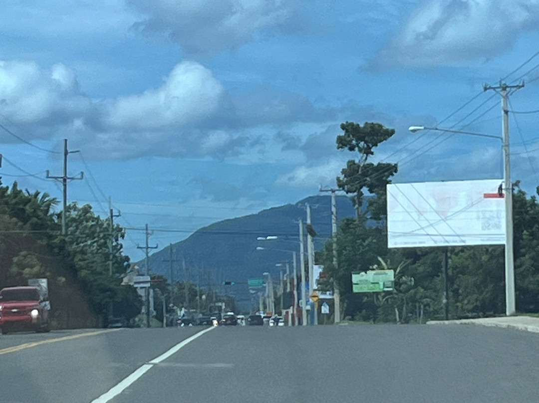 Airport Taxi Pop Tours Transfer Dominican Republic-普拉塔港必去景点