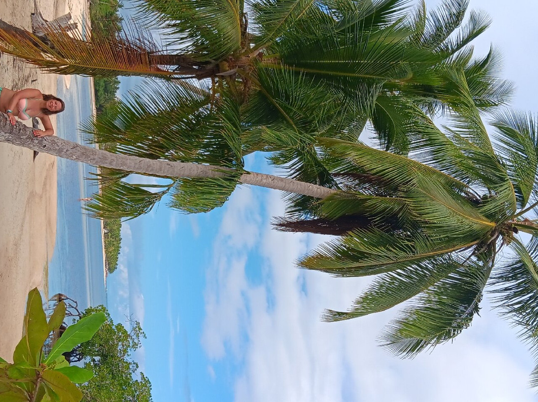 Playa El Portillo-拉斯特拉纳斯必去景点