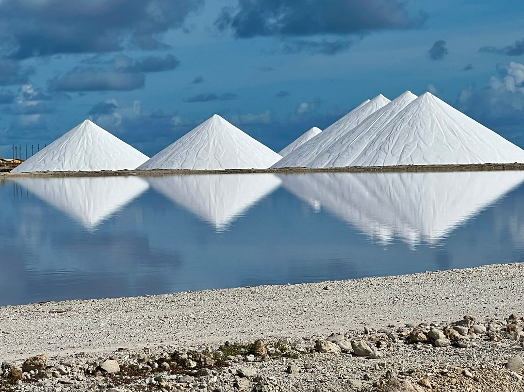 Pekelmeer Flamingo Sanctuary-博奈尔岛必去景点