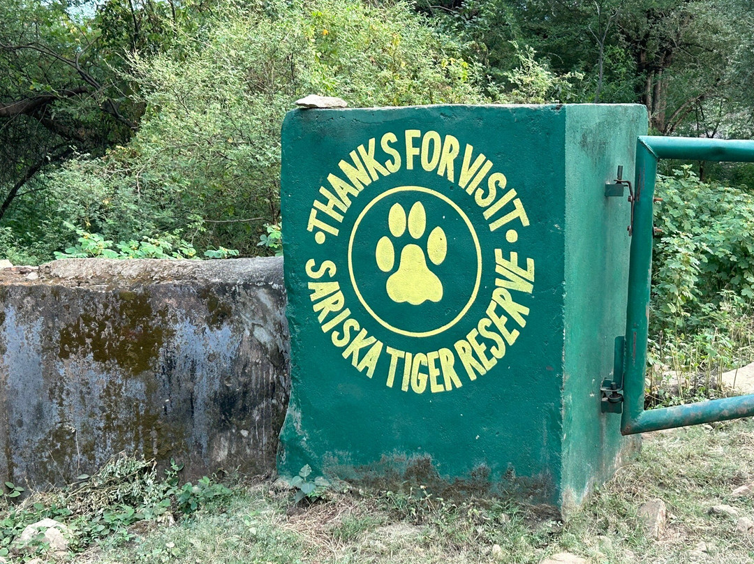 Little Affair Sariska主图