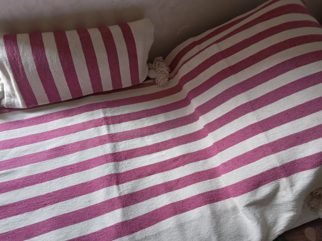 Dar Elbounania-梅克内斯必去景点