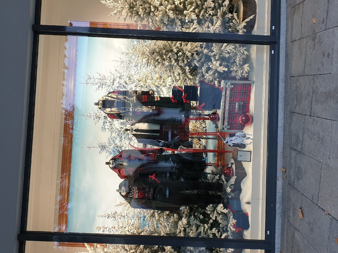 Designeroutlet景点图片