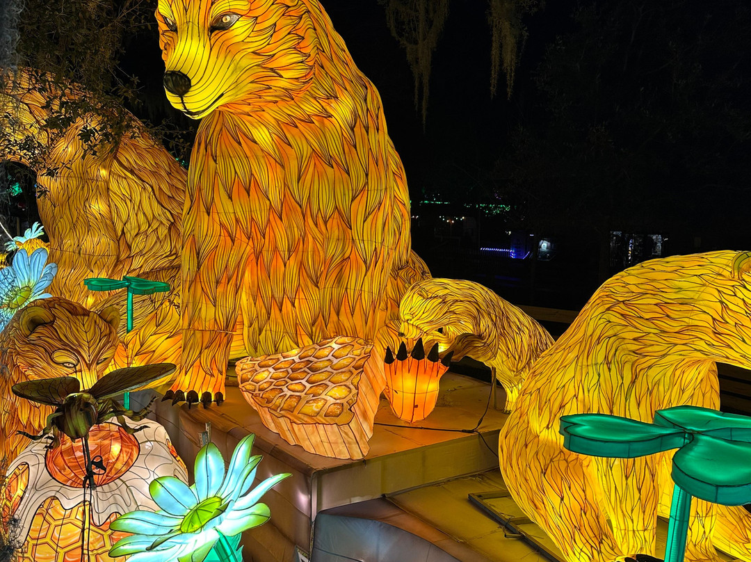 Asian Lantern Festival-桑福德必去景点