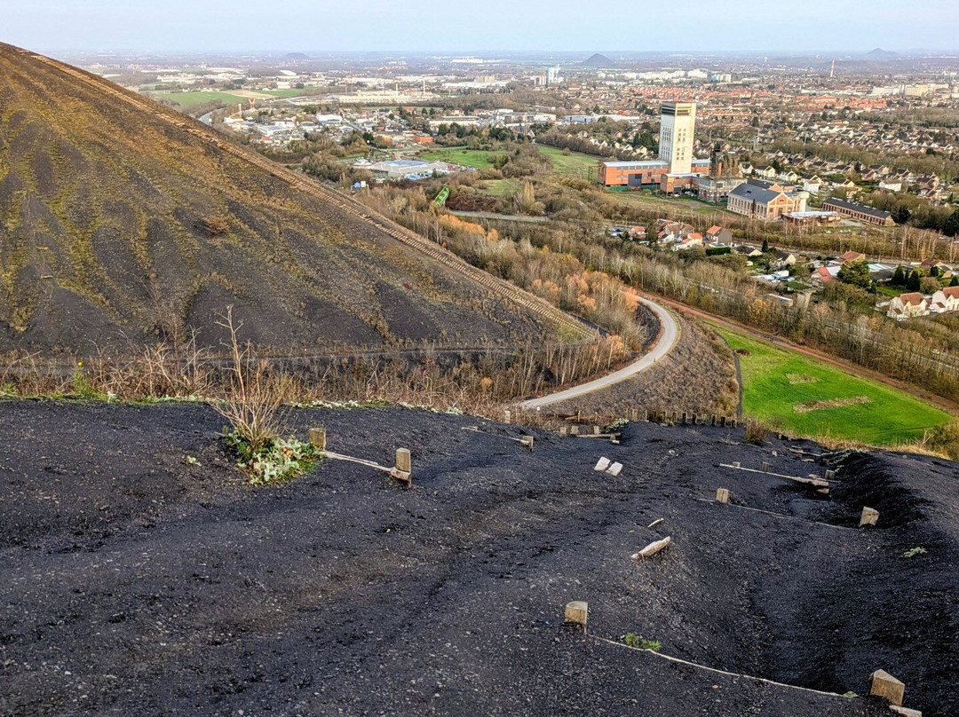 Terril De Loos En Gohelle-Loos en Gohelle必去景点