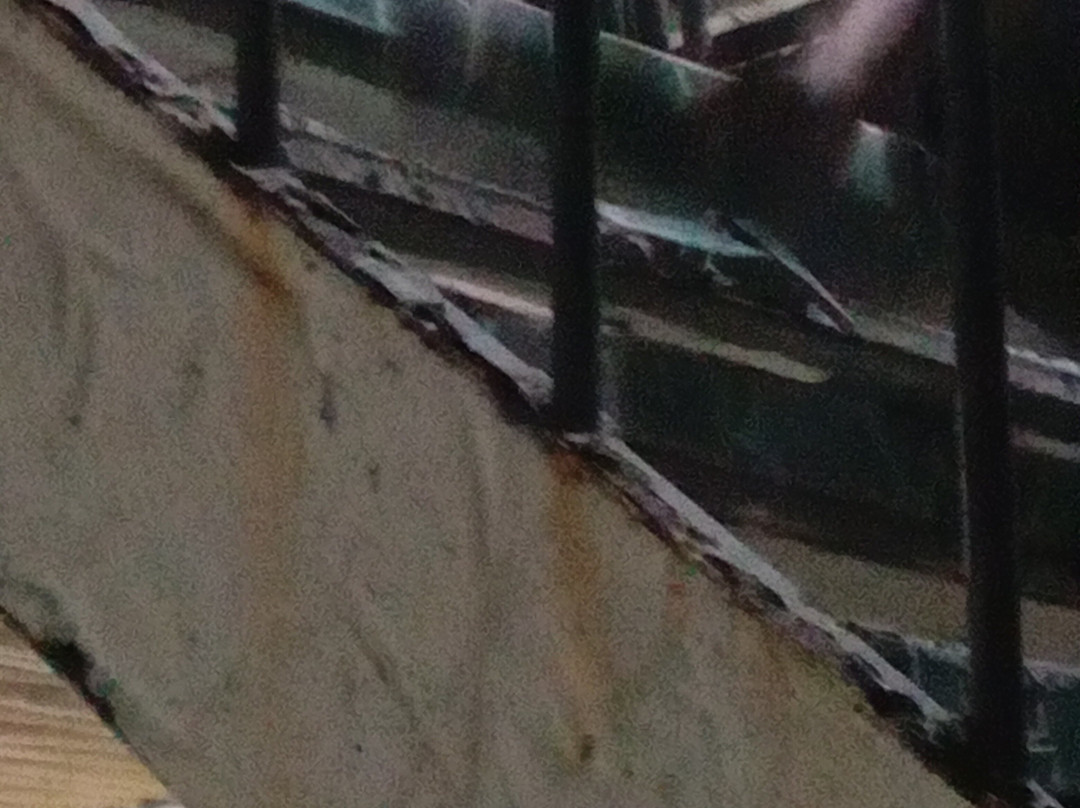 Pawikan Conservation Center-莫龙必去景点