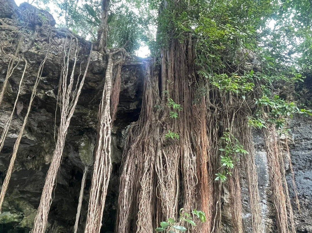 Diverz Den Tulum-图伦必去景点