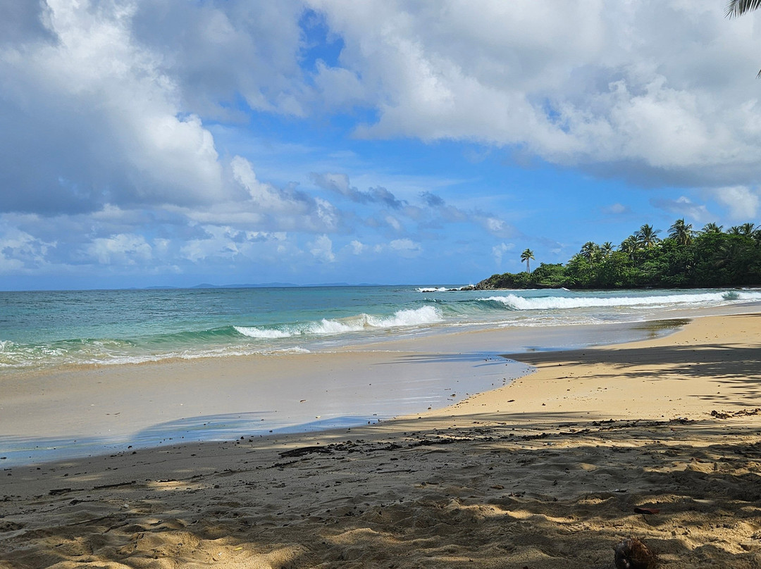 El Gallito Beach-维切克岛必去景点