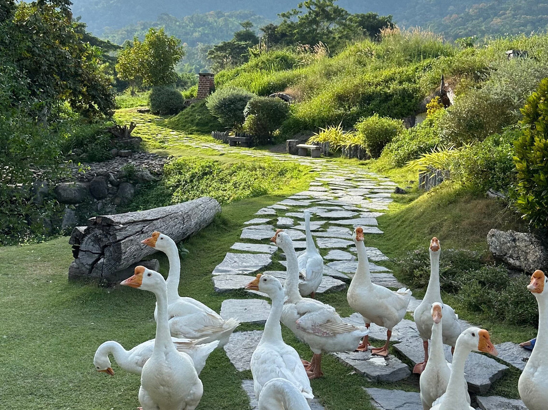 羊驼农场景点图片
