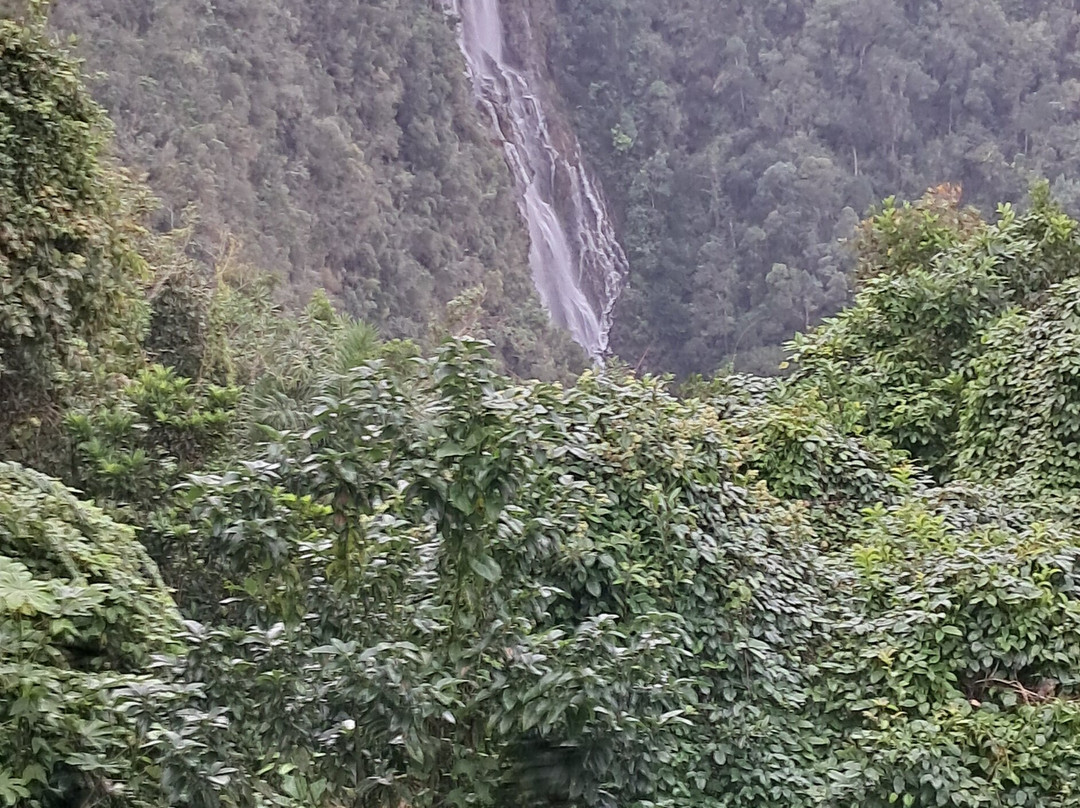 Villa Pinares de Mayari主图