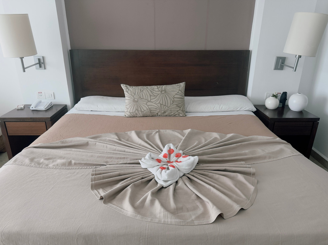 Valentin Perla Blanca主图