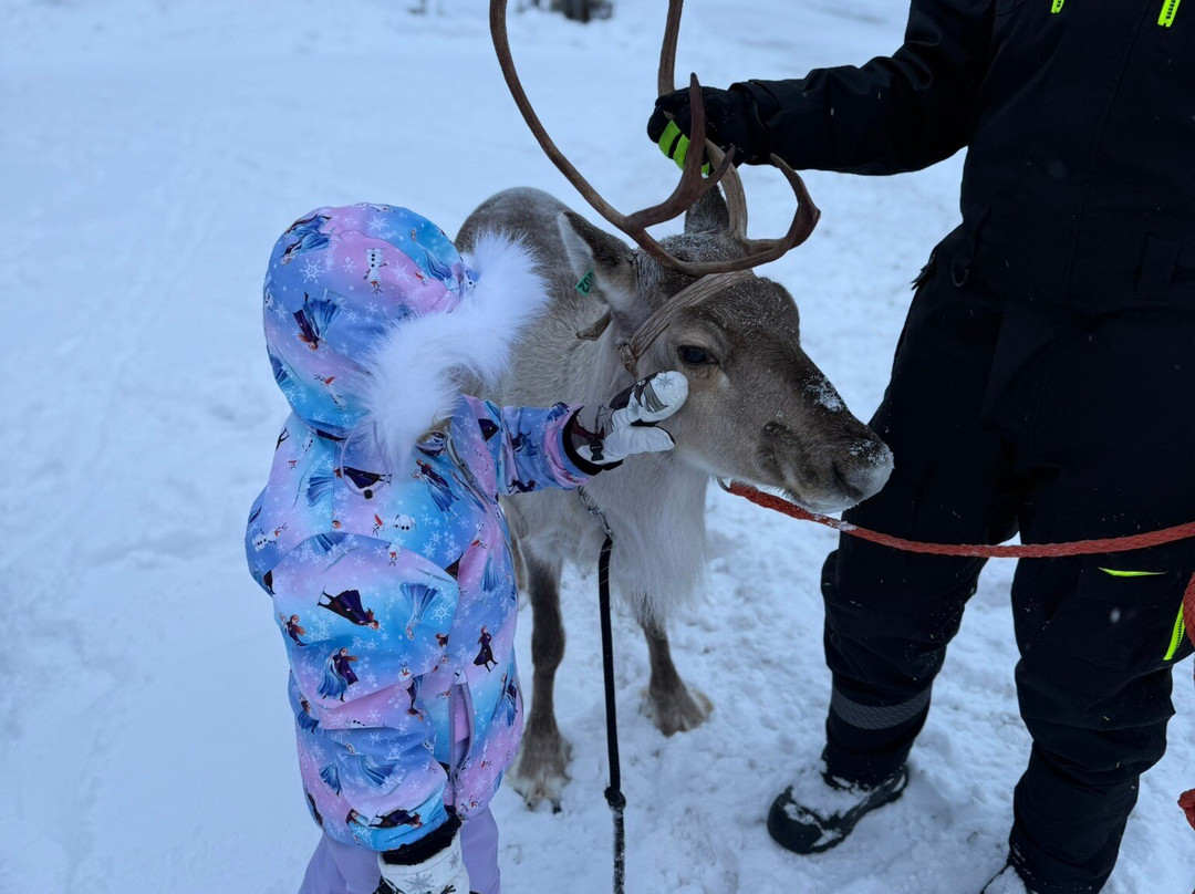 Reindeer Cottage景点图片