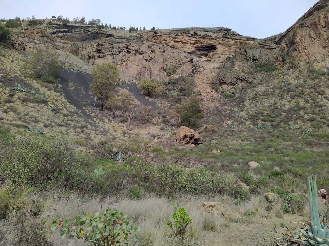 Caldera de Bandama景点图片