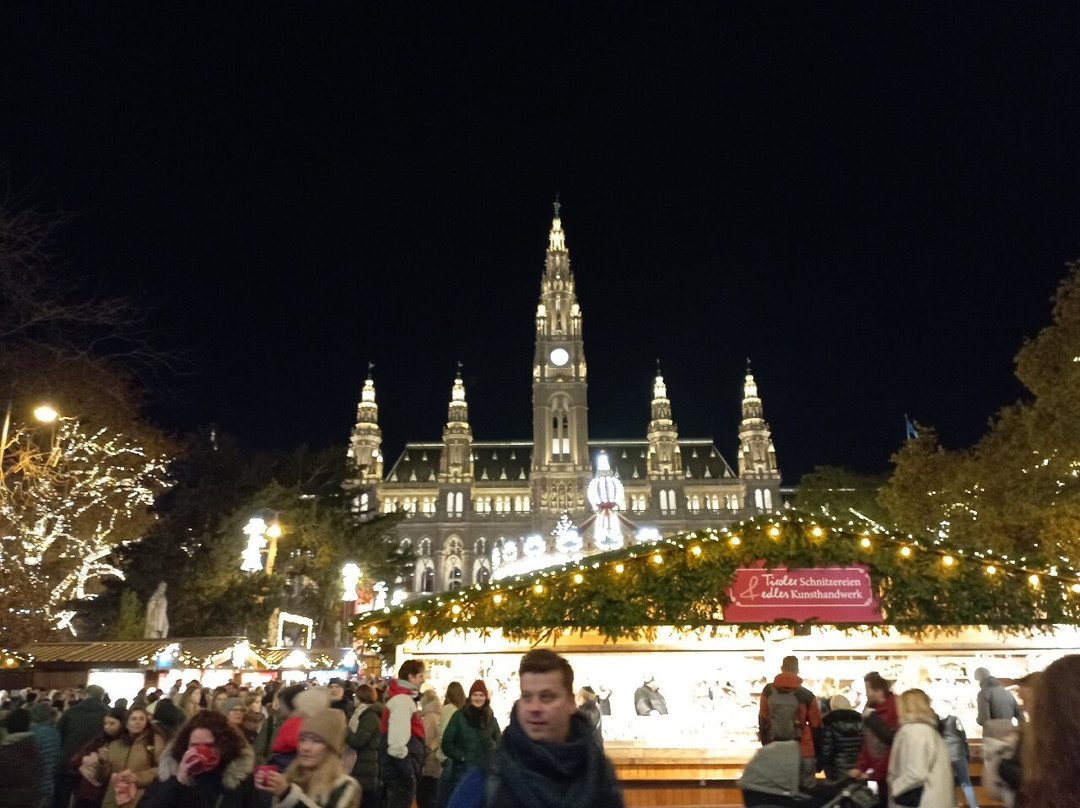 Wiener Christkindlmarkt-维也纳必去景点