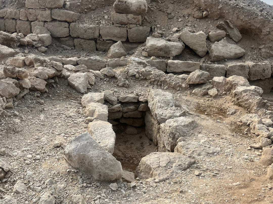 Dilmun Burial Mounds-麦纳麦必去景点