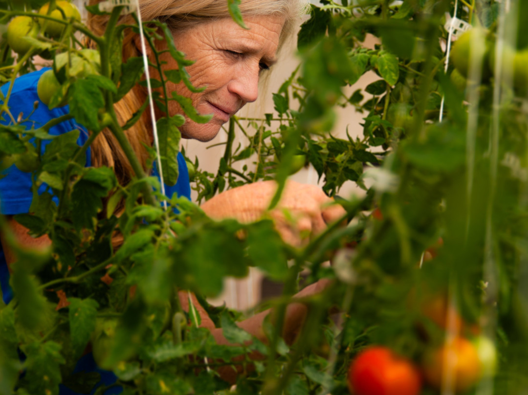 Kula Pueo Farm Tours-库拉必去景点