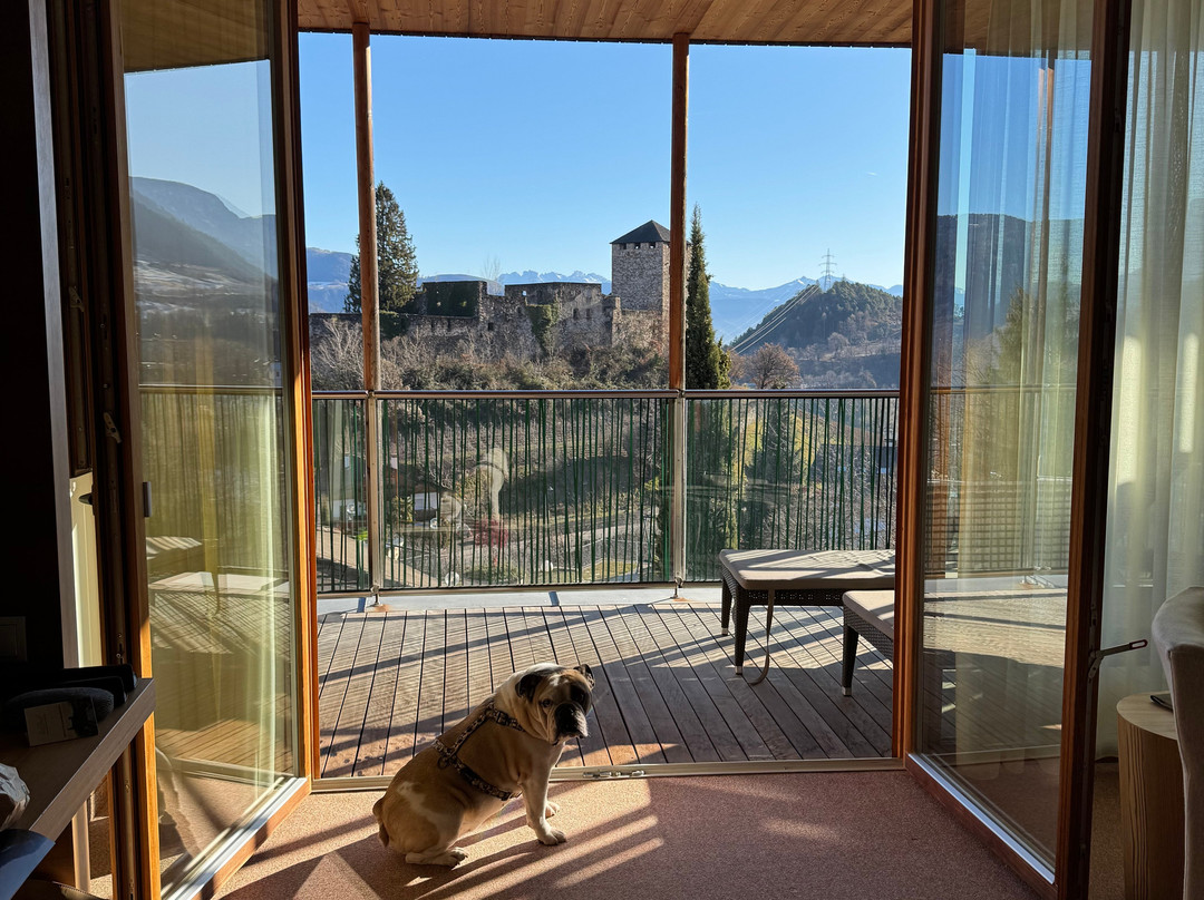 Hotel Der Waldhof主图