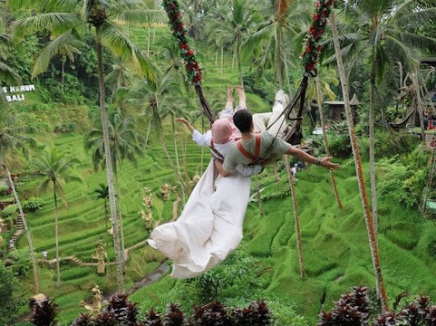 Book To Bali-登巴萨必去景点