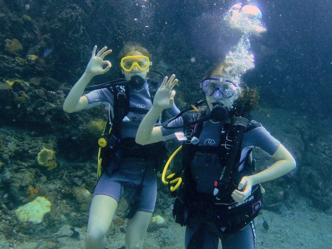 Tobago Dive Experience-Speyside必去景点