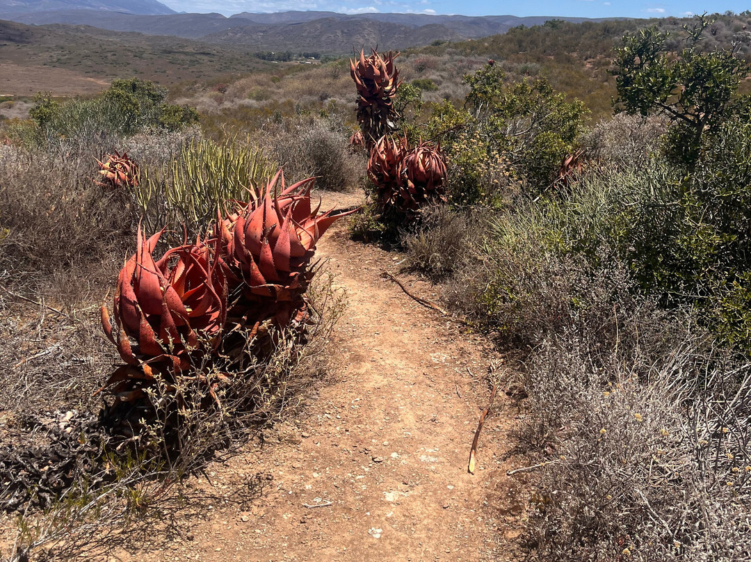 Vrolijkheid Nature Reserve-McGregor必去景点