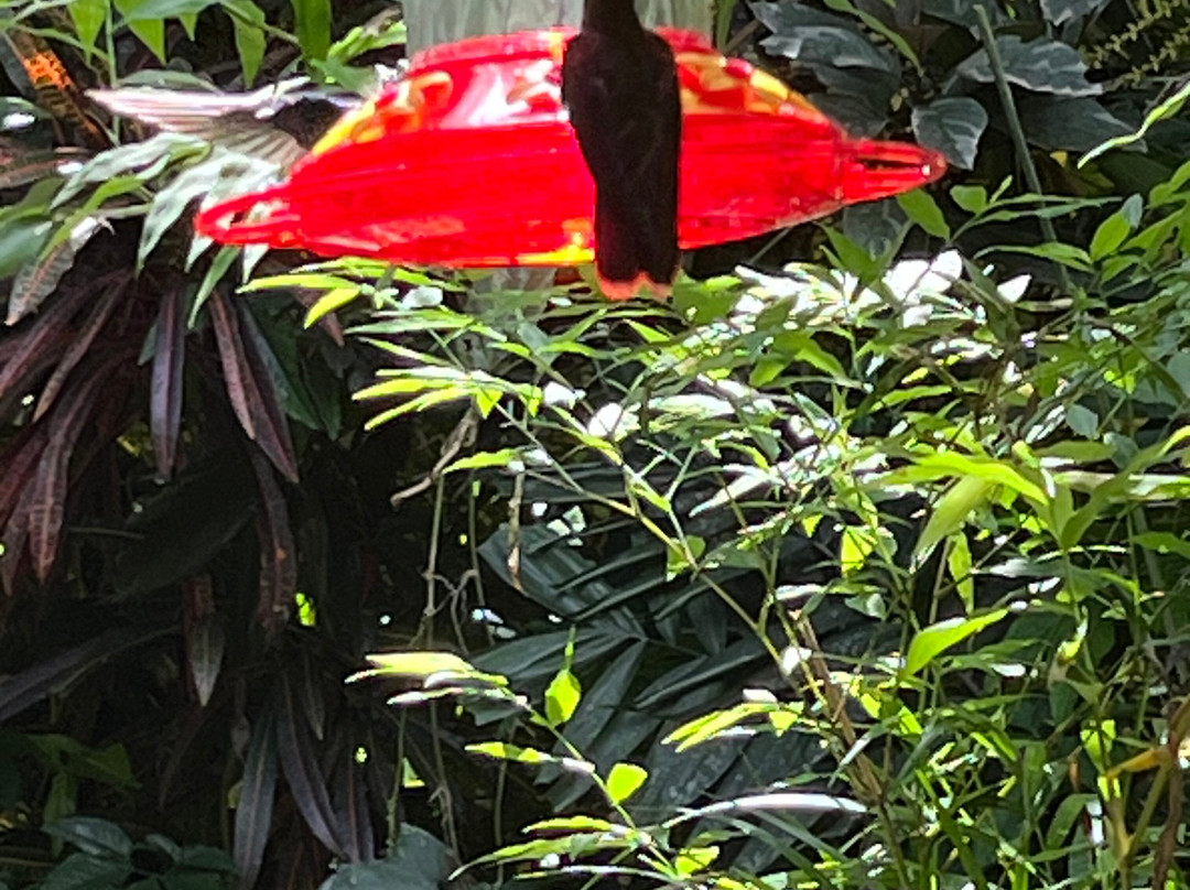 Adventure Farm and Nature Reserve-多巴哥必去景点