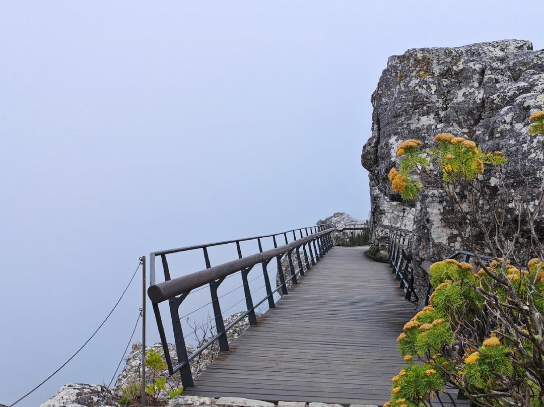 Chapman's Peak-木湾必去景点