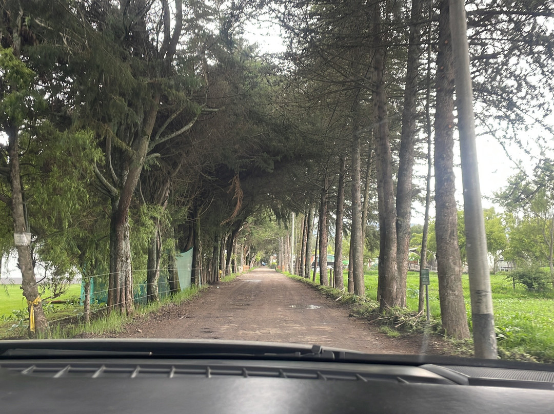 La Ensenada Hotel Cajamarca主图