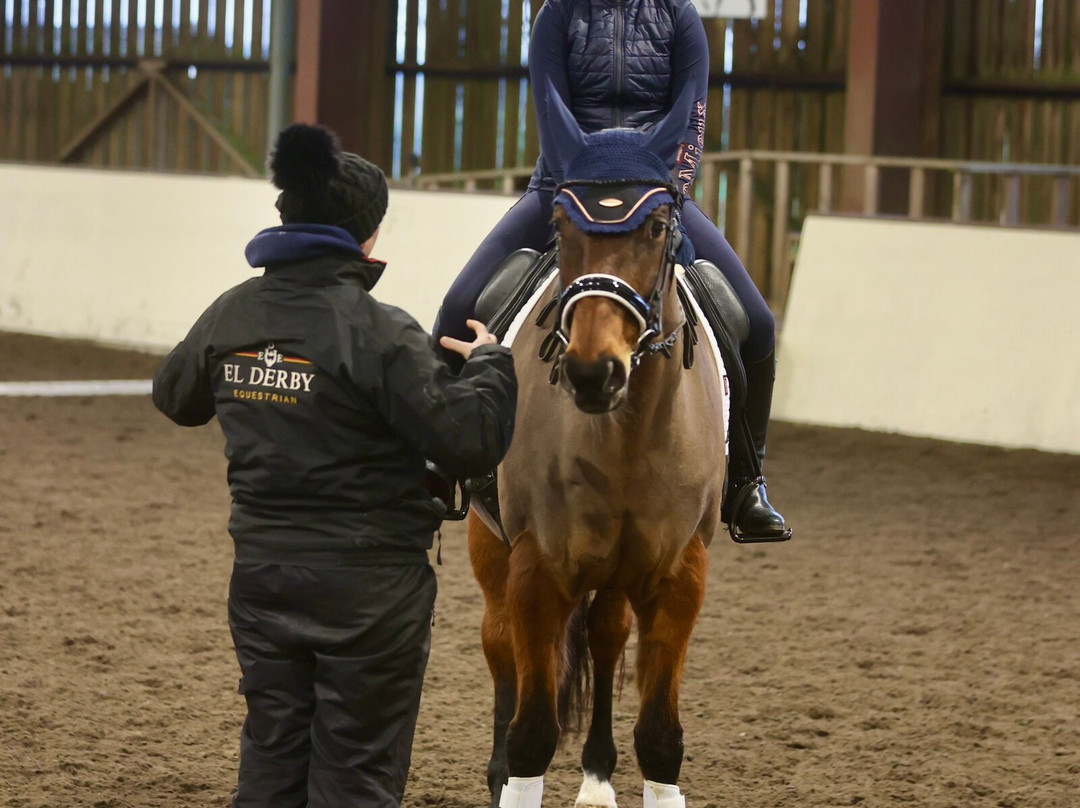 Talland School of Equitation-赛伦塞斯特必去景点