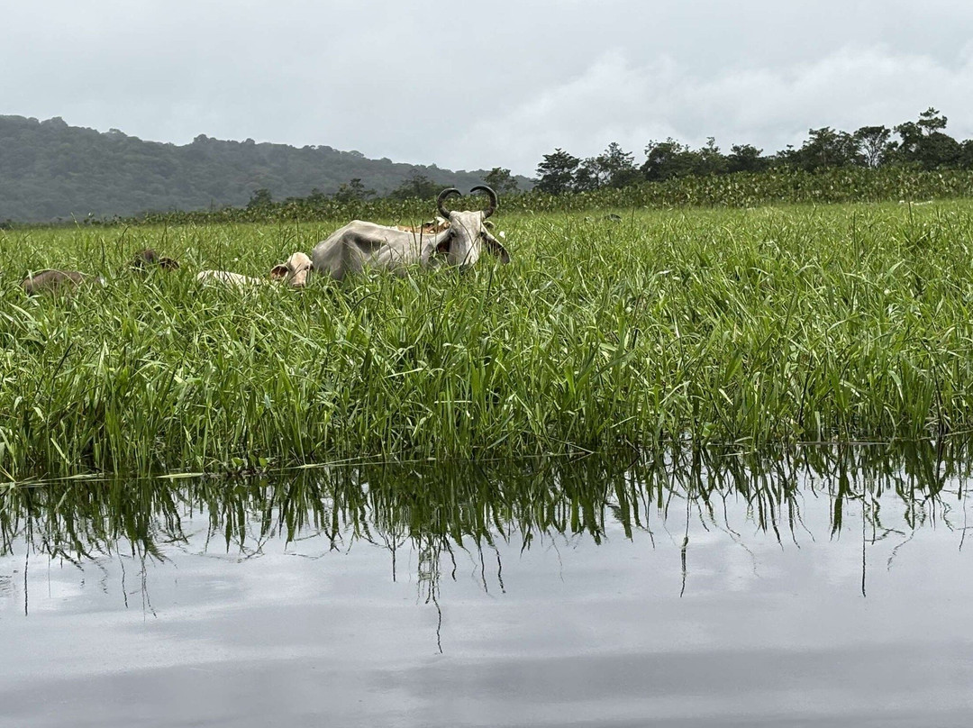 Kaw-Arrondissement of Cayenne必去景点