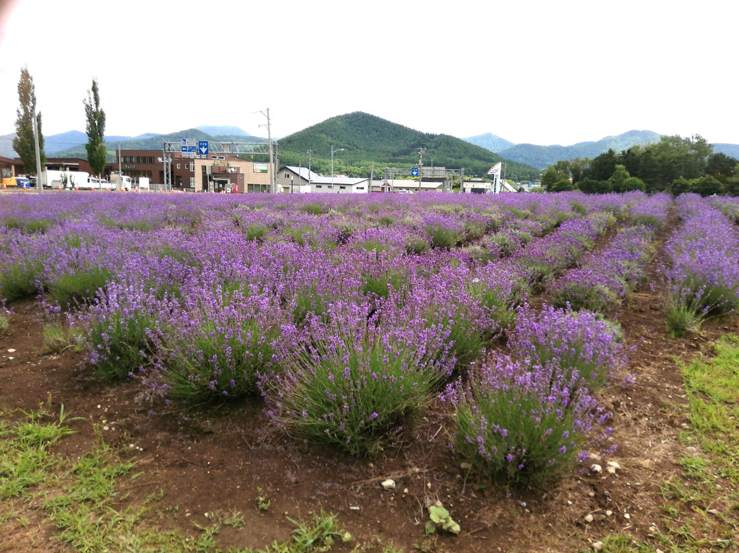 Michi no Eki Minami-Furano-南富良野町必去景点