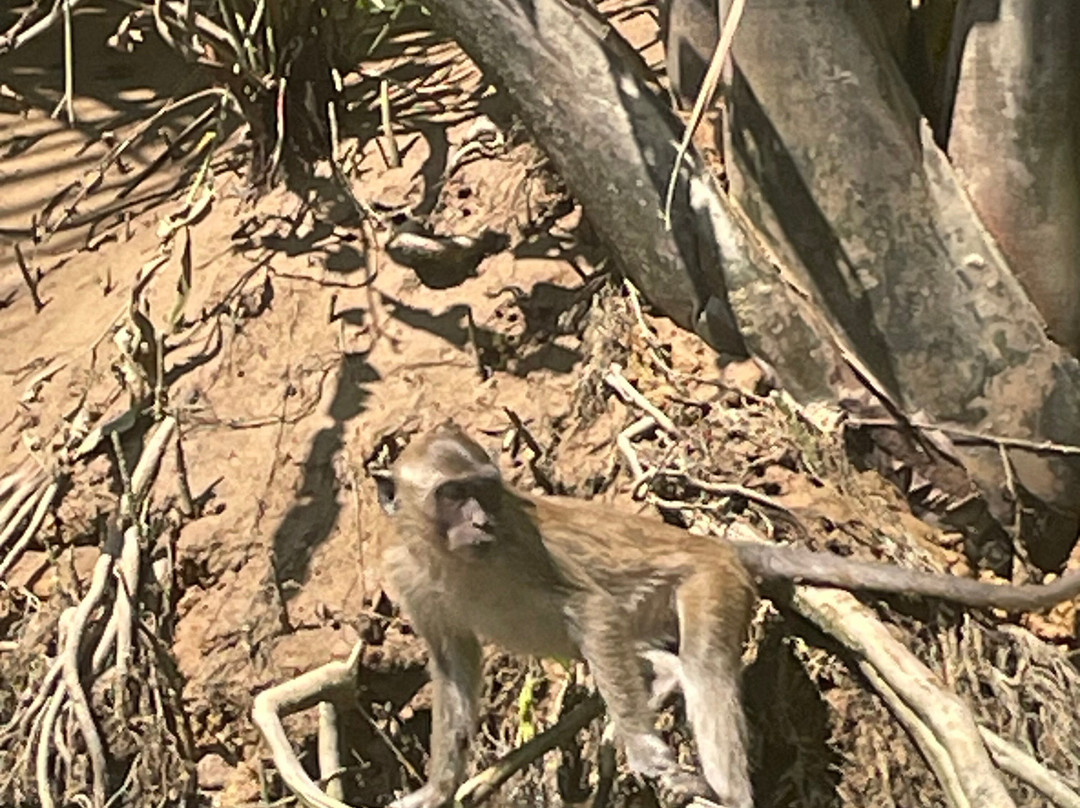 Holiday Service Khao Lak-泰曼必去景点