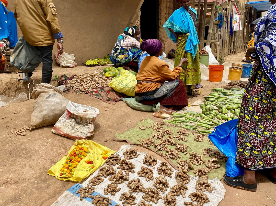 Magamba Eco-cultural Tourism-卢绍托必去景点