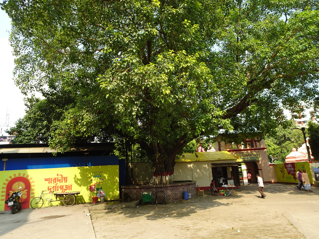 Dhakeshwari Temple-达卡市必去景点
