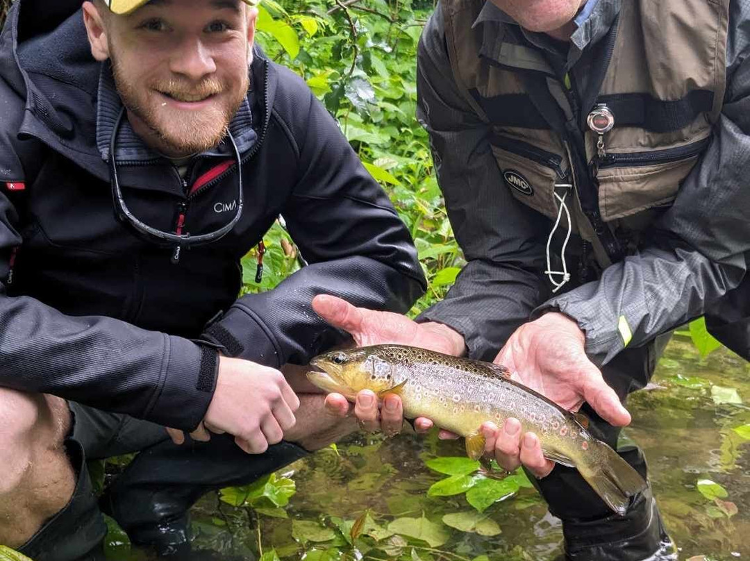 Guide De Pêche, François Chauvie Fishing-Mesnil-Saint-Pere必去景点