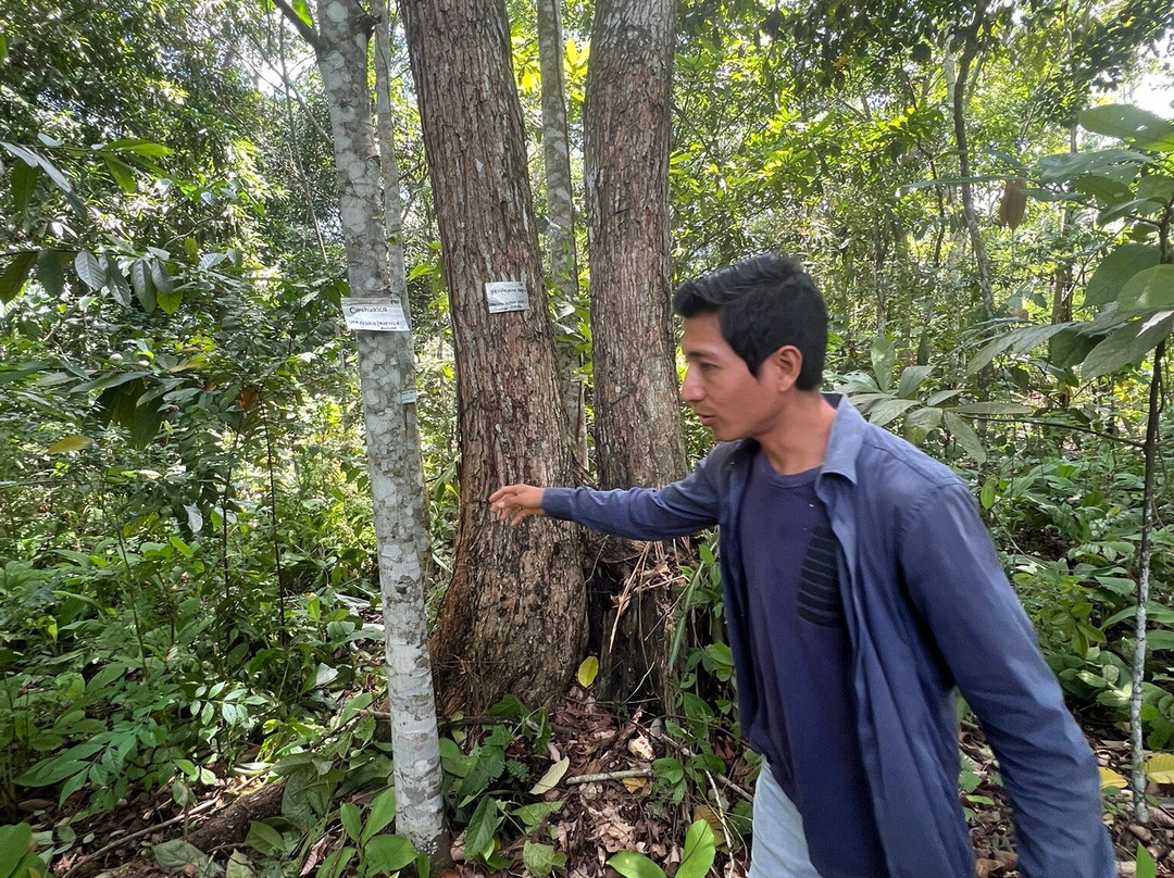 Jardin Botanico Bio-Kuka-Pucallpa必去景点