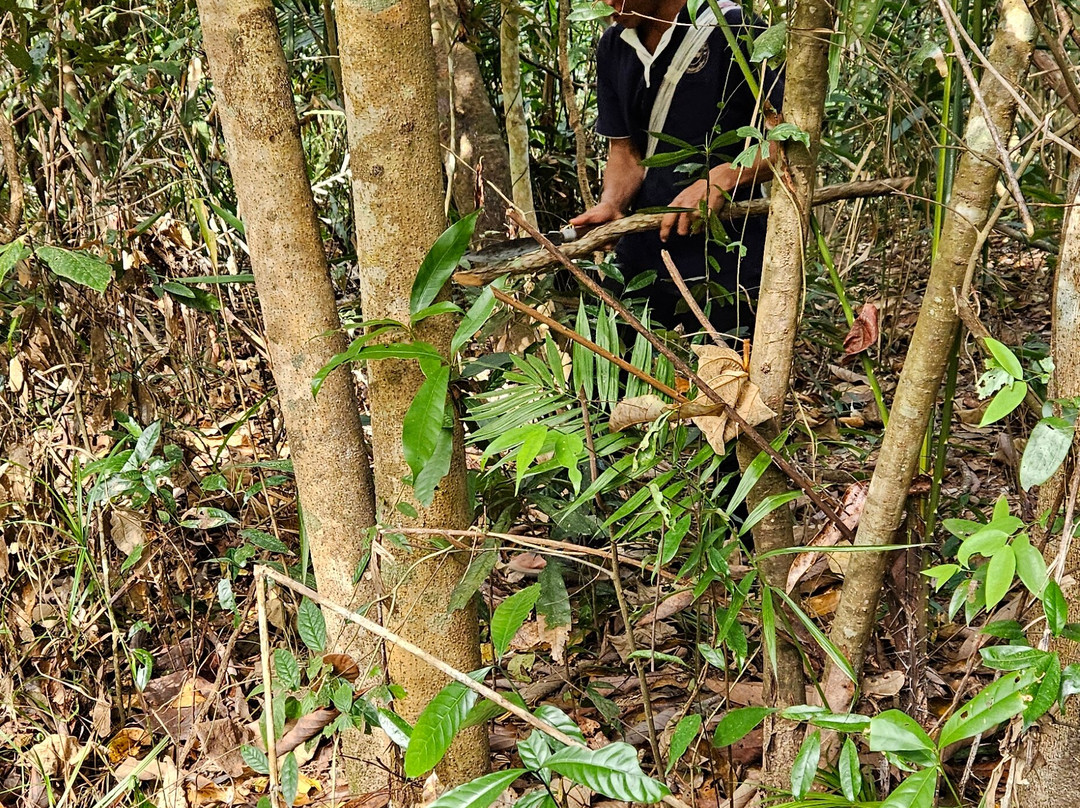 Phou Iu Travel & Ecotourism-琅南塔必去景点