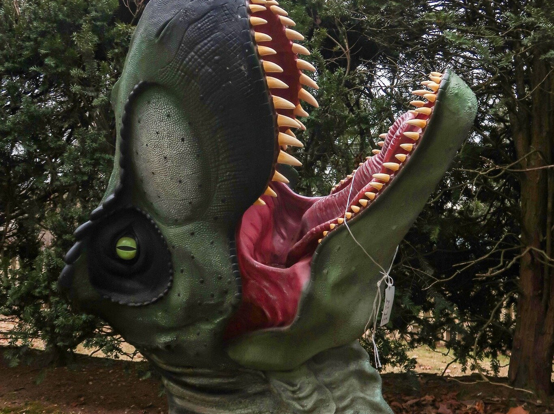 Vampa: Museum Of Vampires And Paranormal Activity景点图片