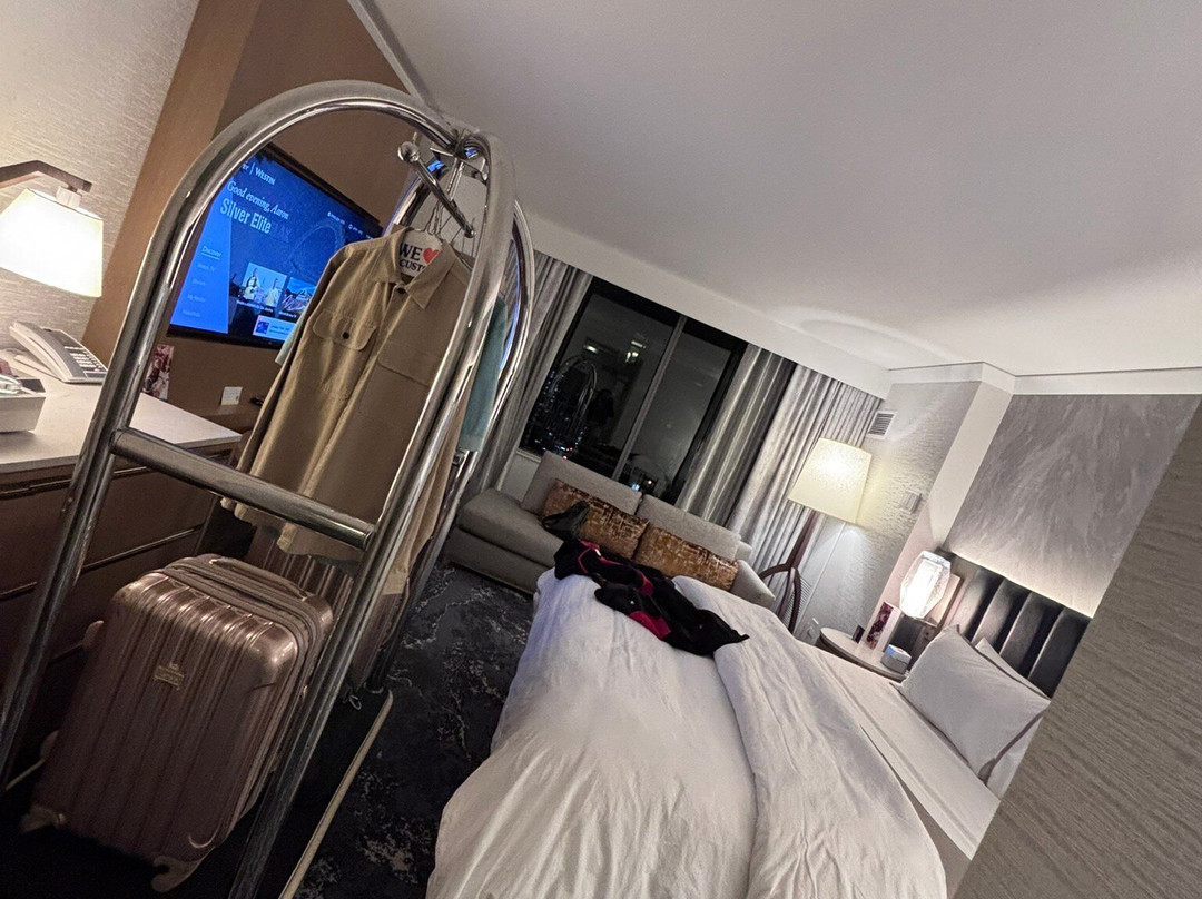 The Westin Bellevue主图