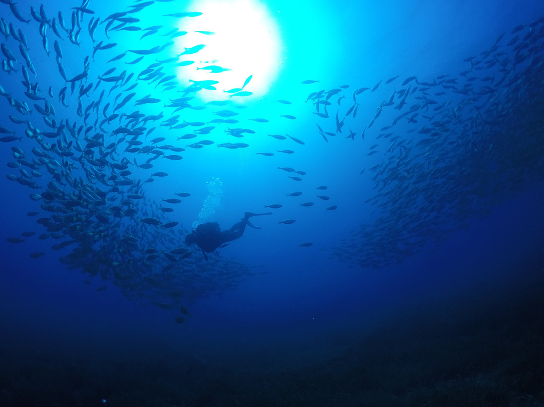 Cala Pada Diving Center Ibiza-伊维萨城区必去景点