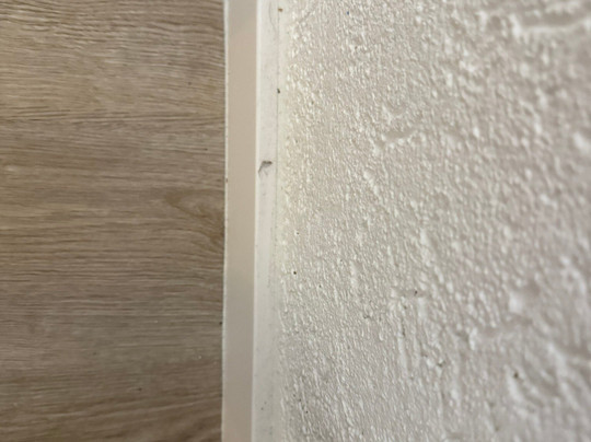 DORMERO Moselhotel Koblenz-Alken主图