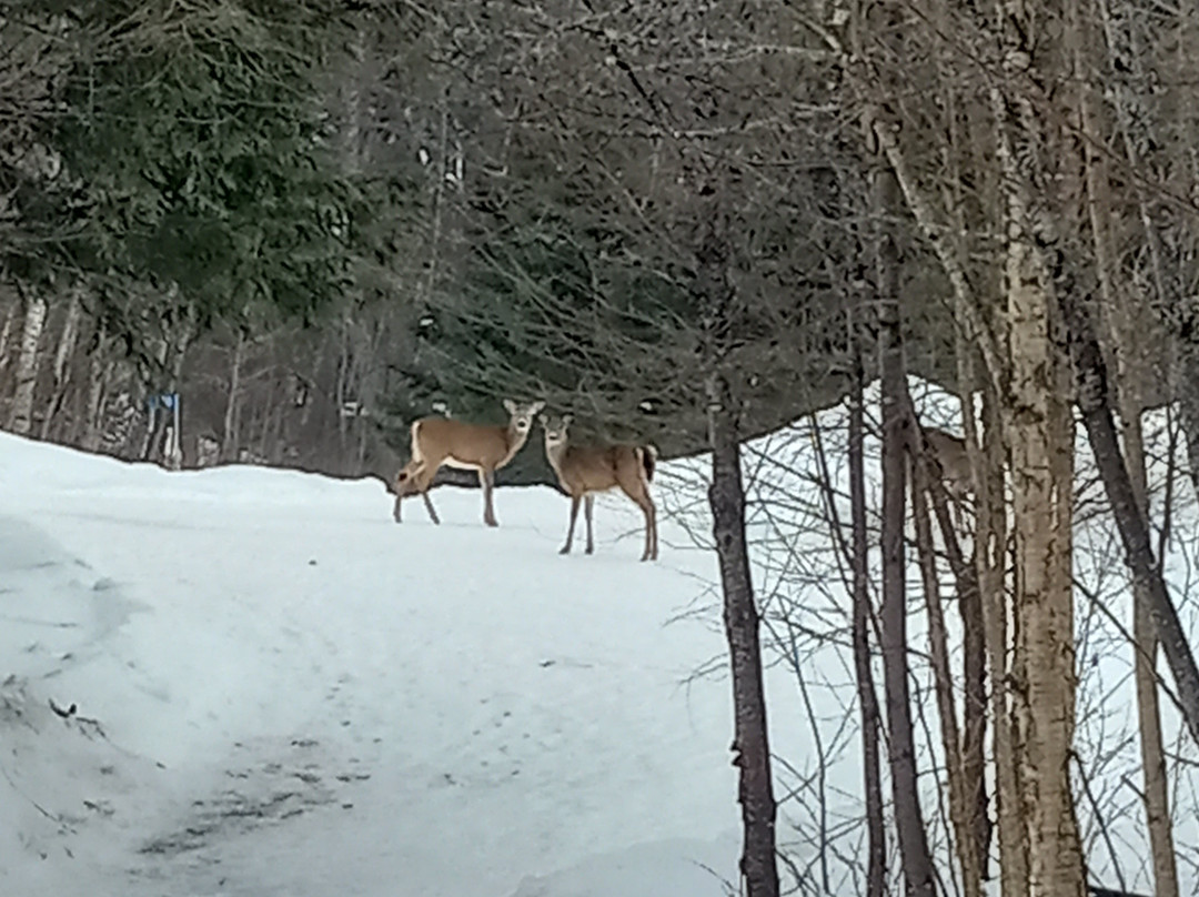 Auberge Couleurs de France主图