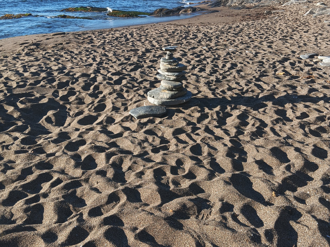 Isla Mancera-瓦尔迪维亚必去景点