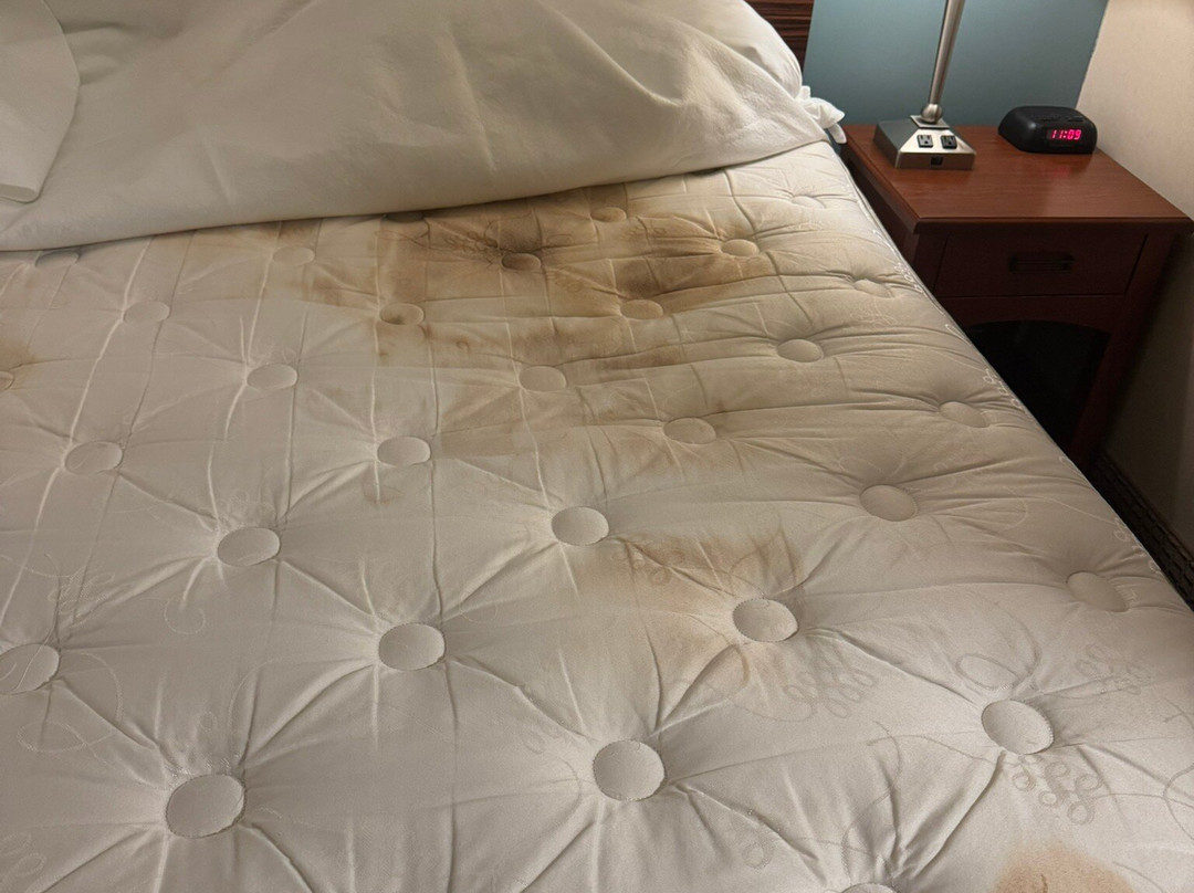 Sleep Inn & Suites主图