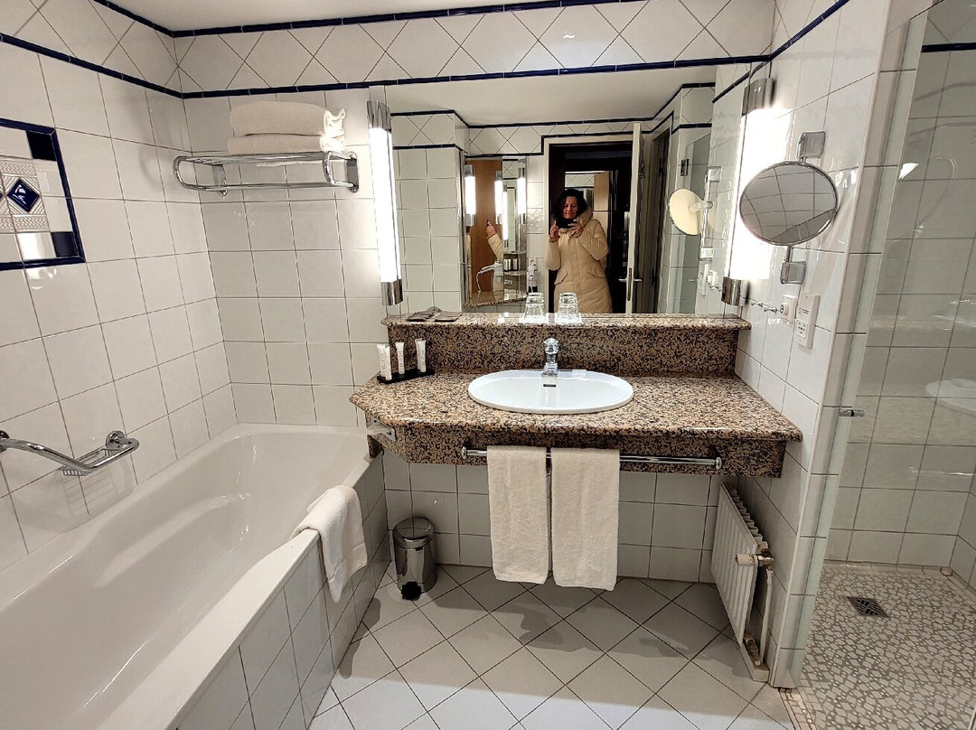 Vichy Celestins Thermal Spa景点图片