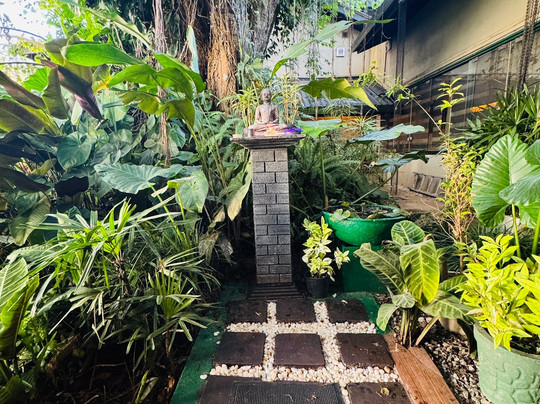 Freek Holidays-康提必去景点