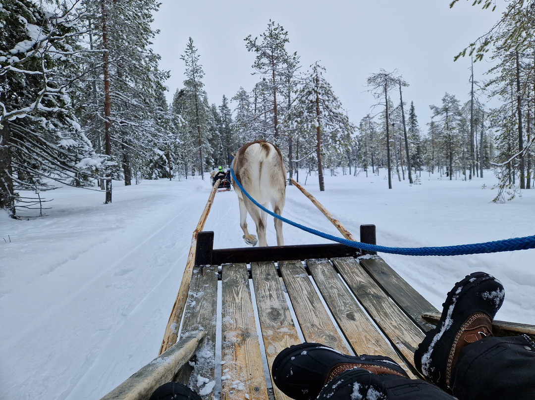 Salla Wilderness Park-Salla必去景点