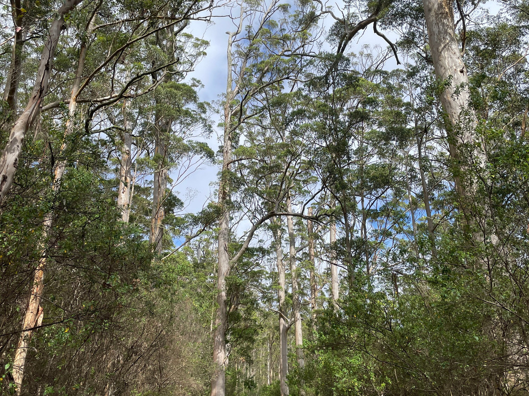 Wansborough Walk-Porongurup National Park必去景点