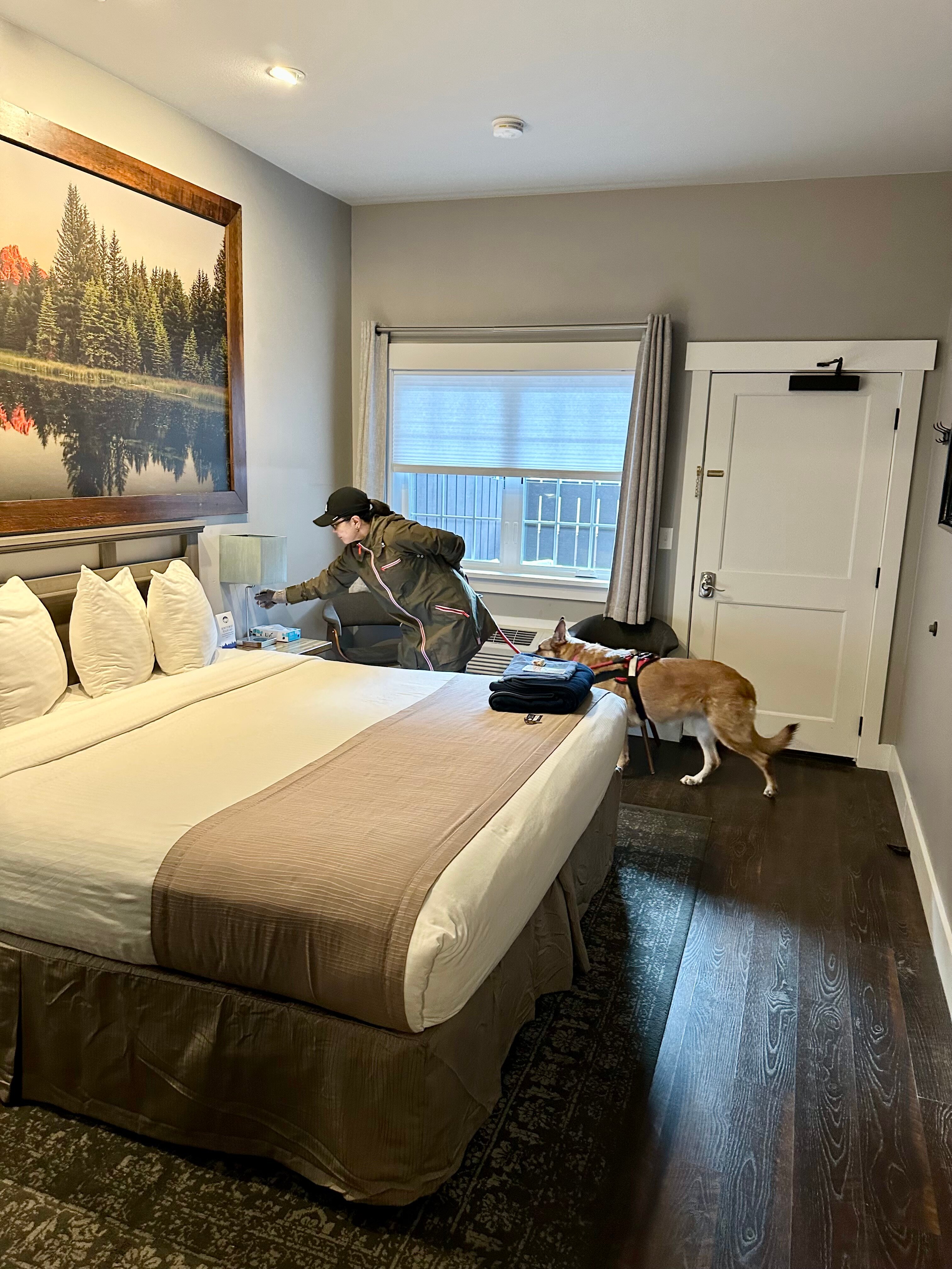 Blue Elk Inn-客卧