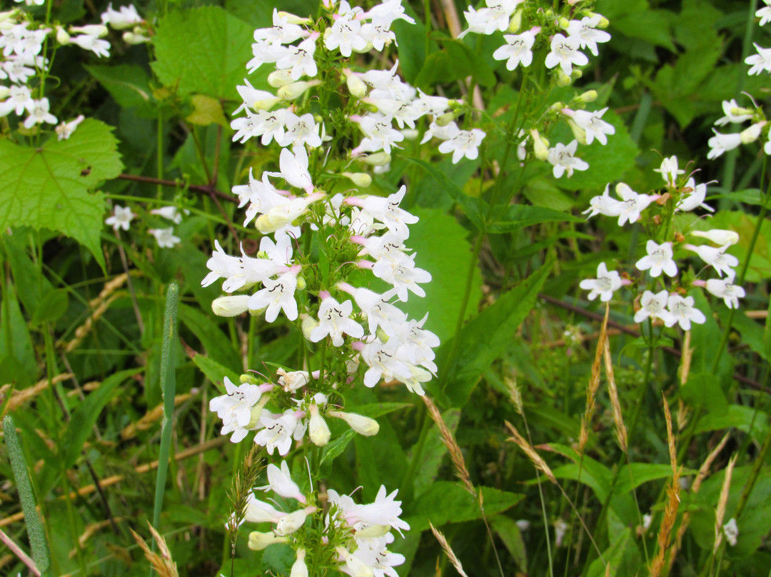 Baldpate Mountain-Titusville必去景点