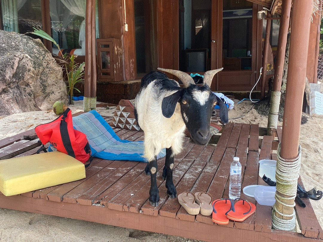 贾森湾-涛岛必去景点