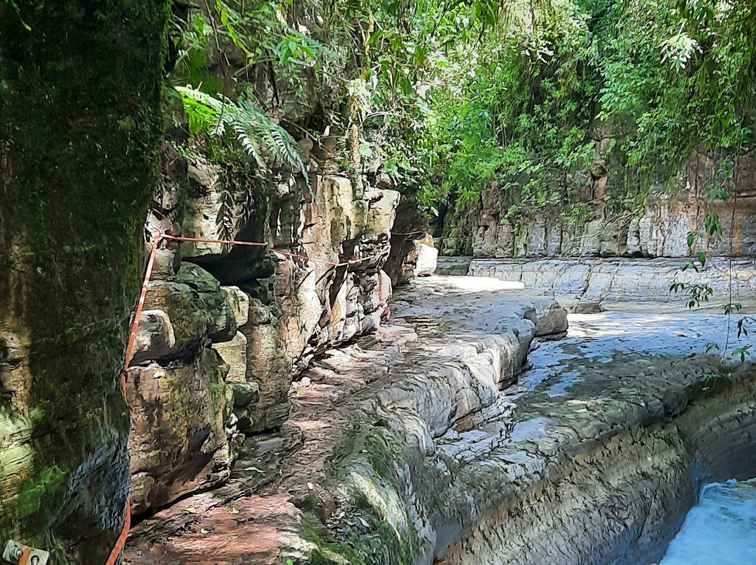 Paraíso De Las Yungas景点图片